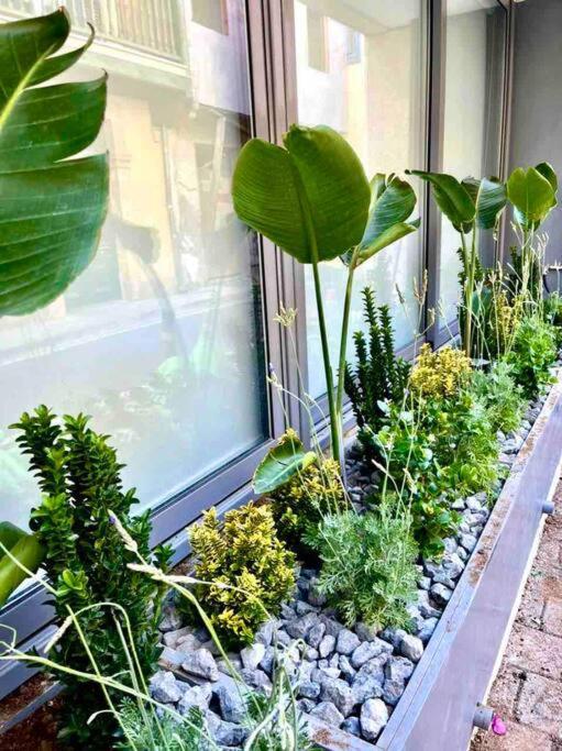 Apartamento Demetra 1 Bdr Down Town Nicosia By Platform 357 Exterior foto